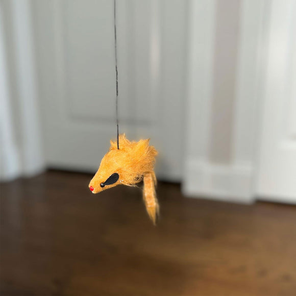 Ethical Pet Spot A-Door-Able Bouncing Mouse Catnip Toy