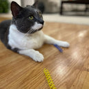 Ethical Pet Spot Colorful Springs Catnip Toy Thin, Assorted, 3"