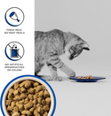 Bixbi Rawbble Freeze Dried Cat Food, Turkey Recipe