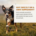 Grizzly Joint Aid  Supplement For Dog (16 oz)