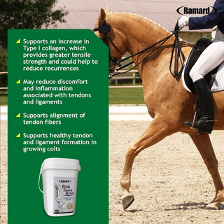 Ramard Total Tendon Repair Powder Horse Supplement (1.12 lb, 30 Day Supply)
