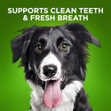 Fruitables BioActive Fresh Mouth Dental Chews For Medium Dogs (10 chews)
