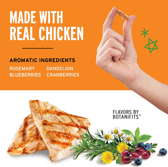 Pet Botanics Training Rewards Soft & Chewy Chicken Flavor Dog Treats (20 oz)