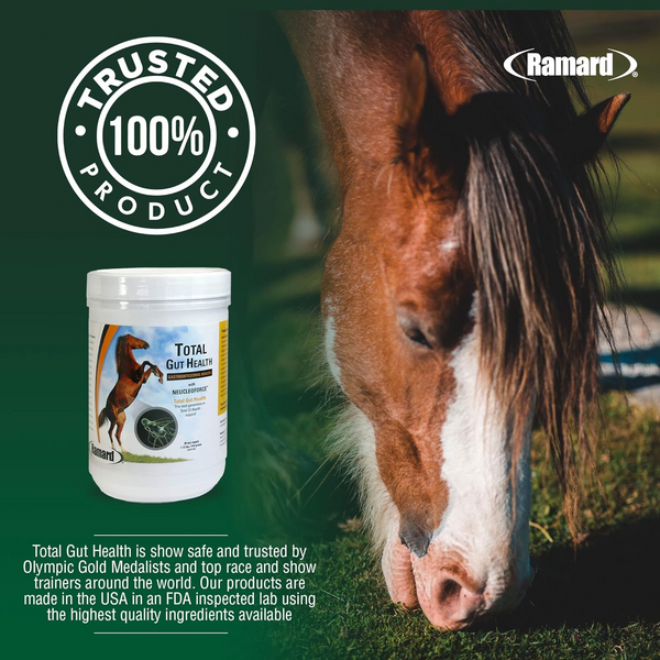 Ramard Total Gut Health Supplement For Horses