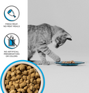 Bixbi Rawbble Freeze Dried Cat Food, Chicken & Salmon Recipe-6