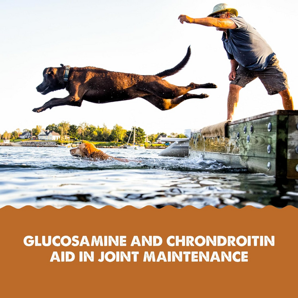 Grizzly Joint Aid  Supplement For Dog