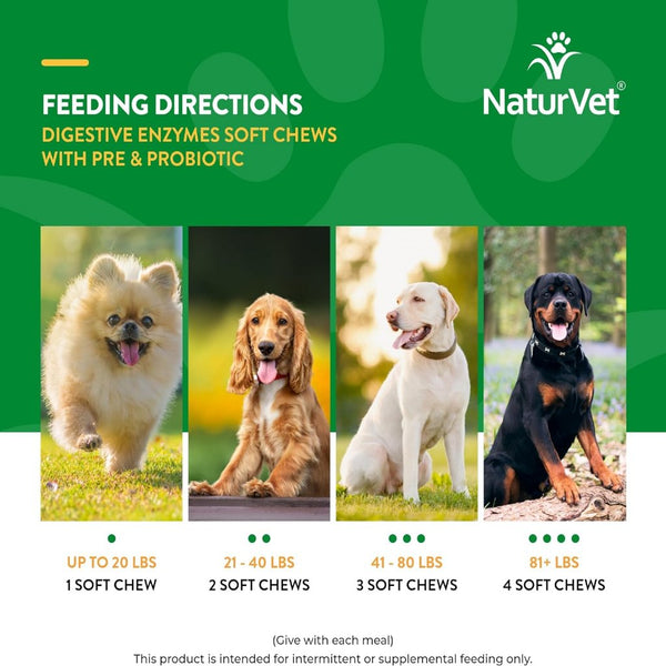 NaturVet Digestive Enzymes Soft Chews Daily Digestive Support with Pre & Probiotic for Dogs