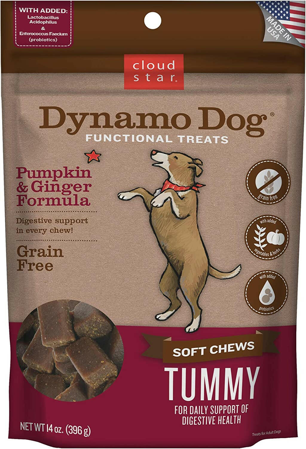 Cloud Star Dynamo Dog Functional Tummy & Digestion Pumpkin & Ginger Soft Chews