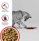 Bixbi Rawbble Freeze Dried Cat Food, Beef Recipe-6