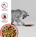 Bixbi Rawbble Freeze Dried Cat Food, Beef Recipe