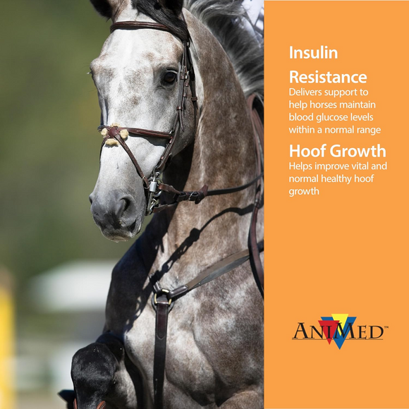 AniMed Remission For Horses