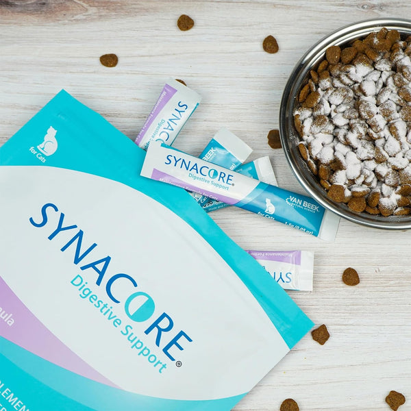 Synacore Digestive Support for Cats