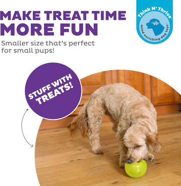 Planet Dog Orbee-Tuff Lil' Snoop Interactive Treat Dispensing Toy, Small - 0