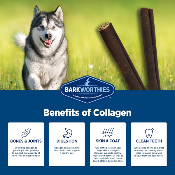 Barkworthies Collagen Beef Stick Chews for Dogs