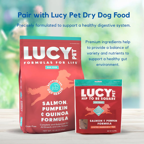 Lucy Pet Products Hip to Be Square Salmon & Pumpkin Formula Dog Treats