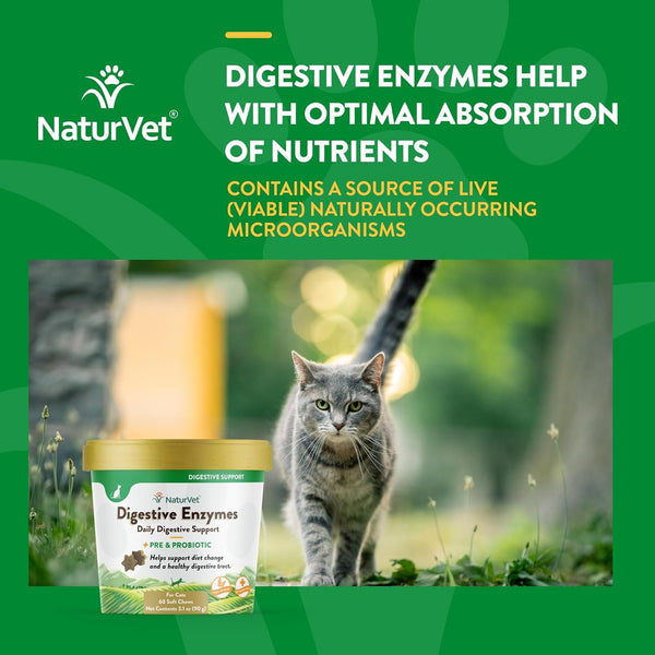 NaturVet Digestive Enzymes Soft Chews Daily Digestive Support with Pre & Probiotic for Cats