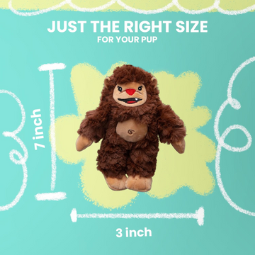 Snugarooz Young Billy Big Foot Dog Toy - 0