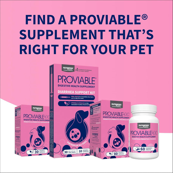 Nutramax Proviable Digestive Health Supplement Kit for Cats And Dogs