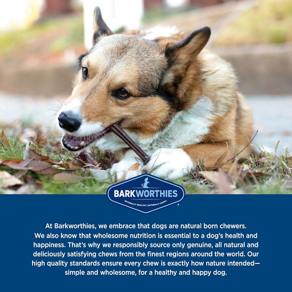 Barkworthies Collagen Beef Stick Chews for Dogs