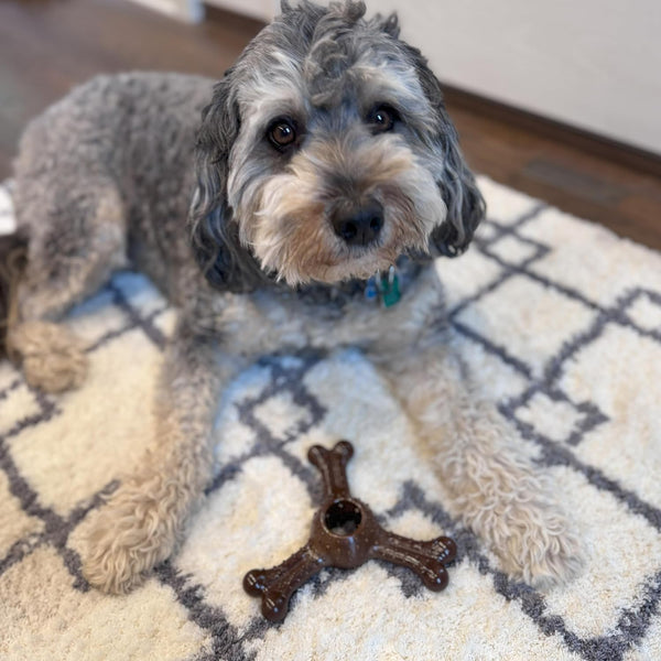 Ethical Pet Bam-Bones Plus Triple Bison Tough Dog Chew Toy