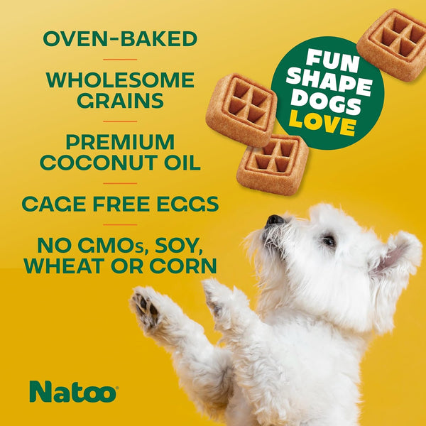 Natoo Crunchy Biscuits Oats, Banana, & Honey Flavor for All Size Dogs