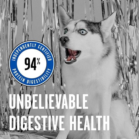 Bixbi Rawbble Freeze-Dried Dog Food, Turkey Recipe