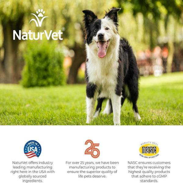 NaturVet Digestive Enzymes Soft Chews Daily Digestive Support with Pre & Probiotic for Dogs