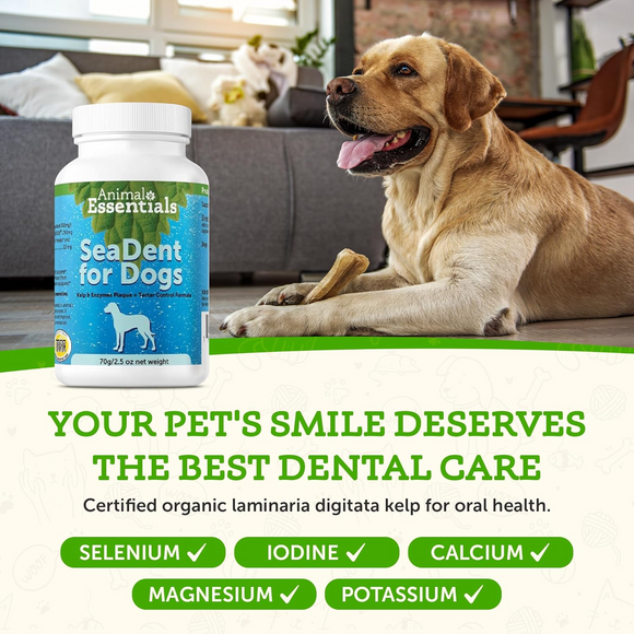Animal Essentials SeaDent Anti-Plaque Powder for Dogs (2.5 oz)