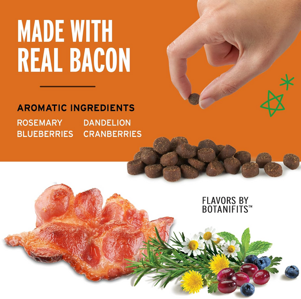 Pet Botanics Training Rewards Mini Soft & Chewy Bacon Flavor Dog Treats