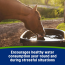 Farnam Apple Elite Apple Flavored Electrolyte Powder for Horses-6