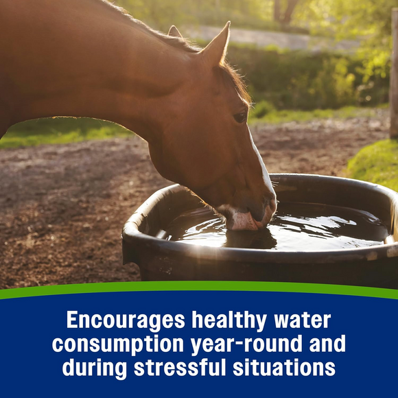 Farnam Apple Elite Apple Flavored Electrolyte Powder for Horses