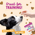 Health Extension Impawfect Pumpkin & Ginger for Digestive Support Treats for Dogs