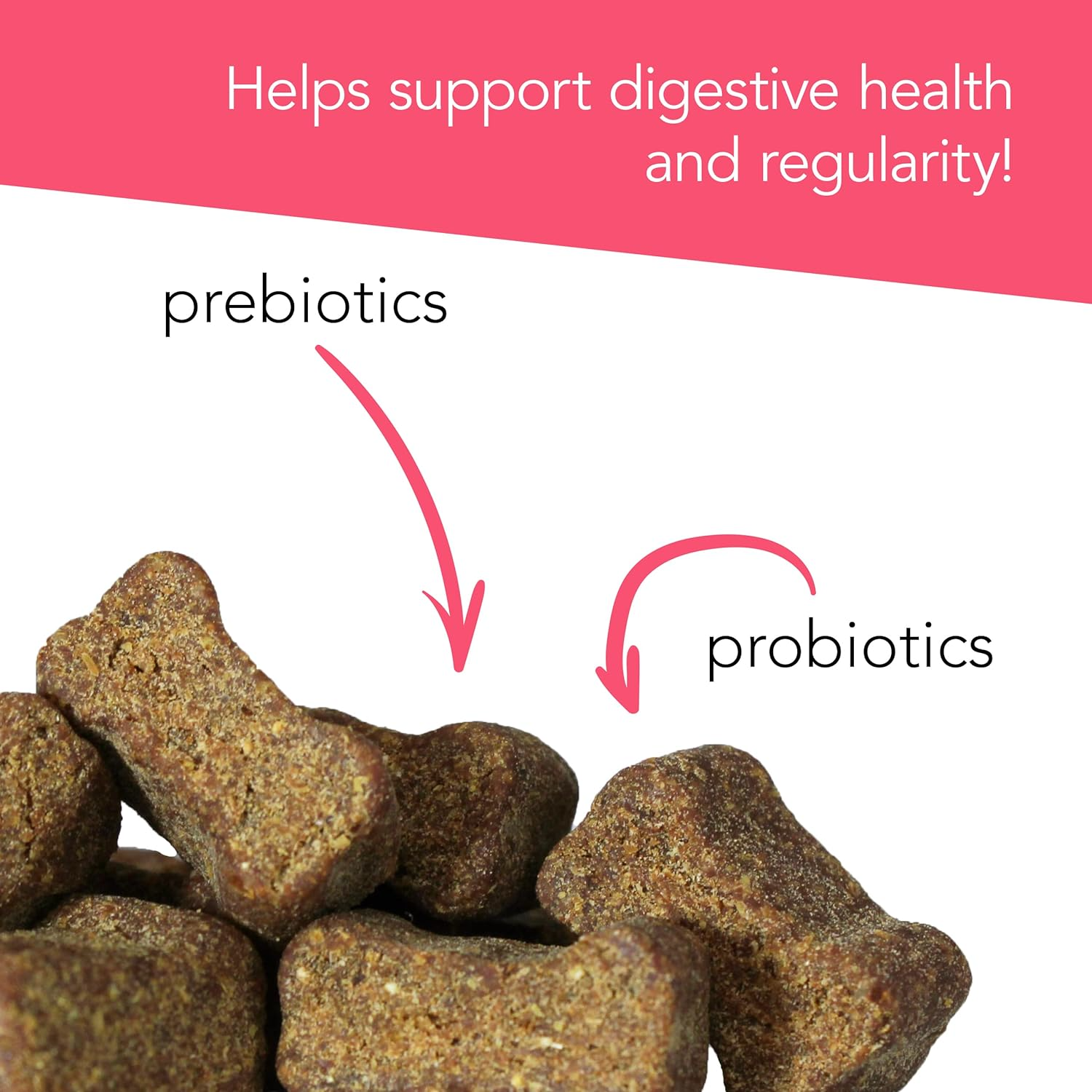 VetriScience Probiotic Everyday Gut Health Supplement for Dogs