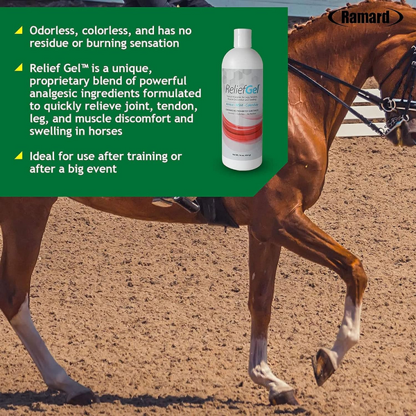 Ramard Relief Gel Liniment Support for Horses