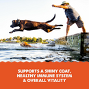 Grizzly Salmon Oil Omega Plus Supplement For Dogs-13