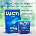 Lucy Pet Products Hip to Be Square Duck & Pumpkin Formula Dog Treats