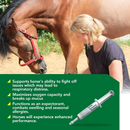 Ramard Total Respiratory & Endurance Paste For Horses (15 cc)-5