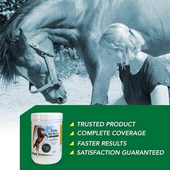 Ramard Total Gut Health Supplement For Horses