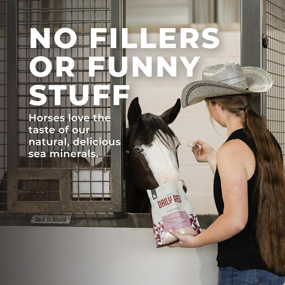Redmond Daily Red Crushed Loose Mineral Salt For Horses