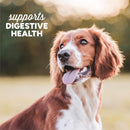 Cloud Star Dynamo Dog Tummy Soft Chews with Probiotic & Pumpkin