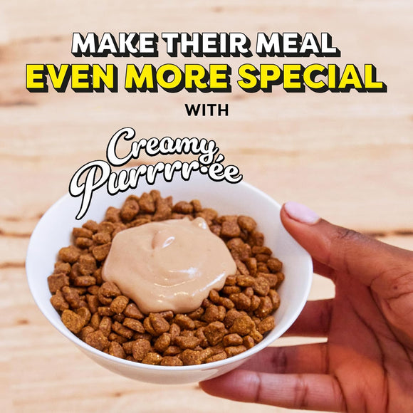 Hand holding a bowl of dog food with creamy purrree on a wooden surface