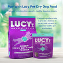 Lucy Pet Products Hip to Be Square Chicken  & Pumpkin Formula Dog Treats