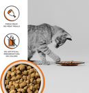 Bixbi Rawbble Freeze Dried Cat Food, Chicken Recipe-6