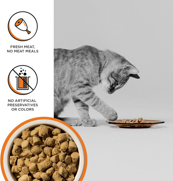 Bixbi Rawbble Freeze Dried Cat Food, Chicken Recipe