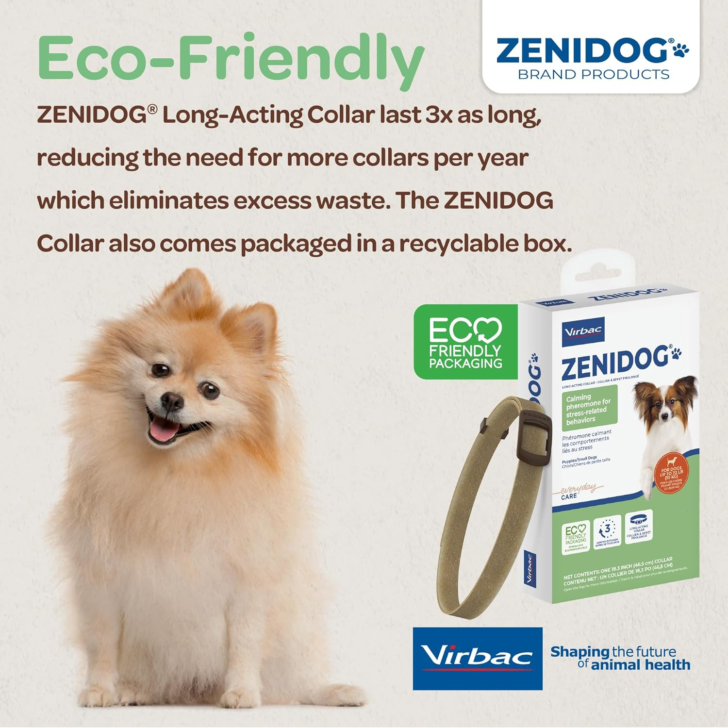 Small dog wearing the eco-friendly ZENIDOG calming collar