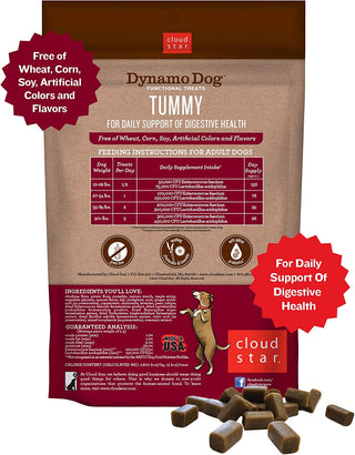 Cloud Star Dynamo Dog Functional Tummy & Digestion Pumpkin & Ginger Soft Chews