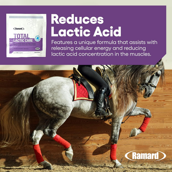 Ramard Total Lactic Care Horse Supplement (25g)
