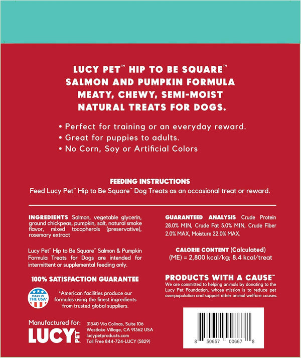 Lucy Pet Products Hip to Be Square Salmon & Pumpkin Formula Dog Treats