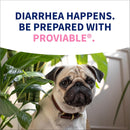 Nutramax Proviable Digestive Health Supplement Kit for Cats And Dogs