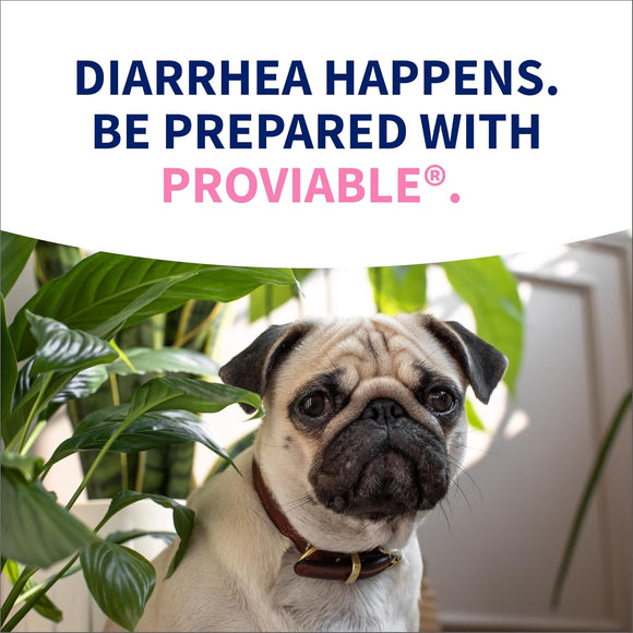 Nutramax Proviable Digestive Health Supplement Kit for Cats And Dogs